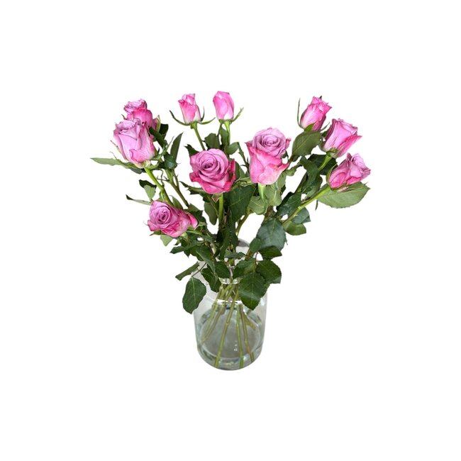 Verse paarse rozen "Deep Purple" | ↕ 60cm | Ø 5.5 cm per roos | Per 10 rozen
