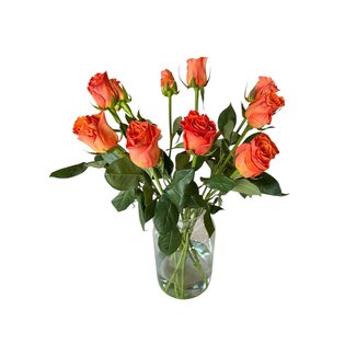 Freshy Frische orange Rosen "Orange Bright Wave" | ↕ 60 cm | Ø 5.5 pro Rose | Pro 10 Rosen