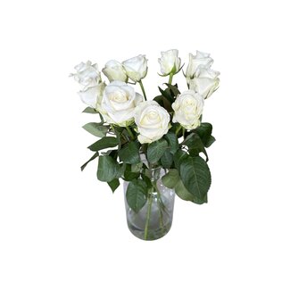Freshy Fresh white roses "Count Down Pure White" | ↕ 60 cm | Ø 5.5 per rose | Per 10 roses