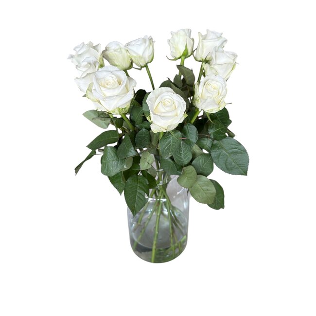 Verse witte rozen "Count Down Pure White" | ↕ 60 cm | Ø 5.5 per roos | Per 10 rozen