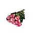 Verse kersenkleurige rozen "Glow Cerise" | ↕ 60cm | Ø 5.5 cm per roos | Per 10 rozen