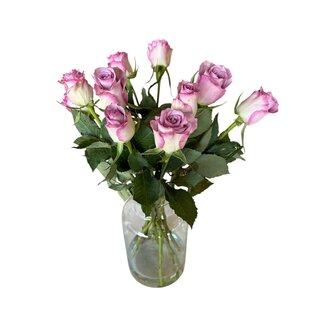 Freshy Fresh green-lilac roses "Samantha's Bridal Green Lilac" | ↕ 60 cm | Ø 4.5 per rose | Per 10 roses