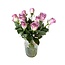 Verse groen-lila rozen "Samantha's Bridal Green Lilac" | ↕ 60 cm | Ø 4.5 per roos | Per 10 rozen