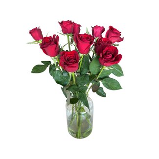 Freshy Fresh red roses "Explorer Deep Red" | ↕  60 cm | Ø 5.5 per rose | Per 10 roses