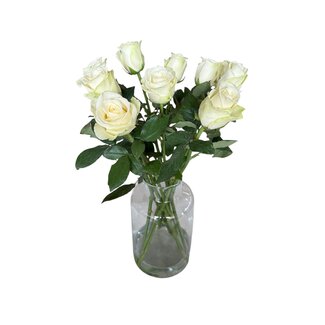 Freshy Fresh white roses "Snow Storm White" | ↕ 60 cm | Ø 5.5 cm per rose | Per 10 roses