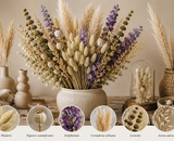 Phalaris Droogbloemen: Hoe kun je creatief zijn met natuurlijk kanariegras?