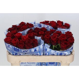 Freshy Large-flowered Dutch Rose “Red Naomi” | Colour: Red | Length ± 70 centimetre | Per 20 fresh roses