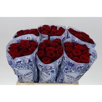 Freshy Rosen “Red Naomi Hollanda” | Farbe: Rot | Länge ± 60 centimeter | Pro 20 Rosen