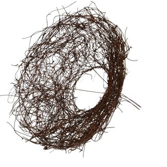 4A Salim Blumenhalter | Farbe: Braun | Durchmesser 25 centimeter | Pro 10 Blumenhalter