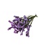 Milka Purple Dried Statice Sinuata | Statice Dried Flowers | Length ± 70 centimetre | Weight 100 gram | Per bunch