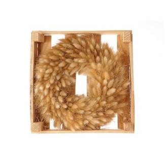 4A Light Brown Lagurus Dried Flowers Wreath | Wreath of Dried Bunny Tails | Diameter 30 centimetre | Per wreath
