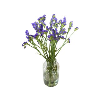 Fresh Dark Blue Statice Limonium Sinuata | Fresh Flowers | Length ± 70 centimetre | 5 stems per bunch | Per bunch