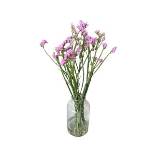 Fraîche Rose Statice Limonium Sinuata | Longueur ± 70 centimeter | Fleurs Fraîches | 5 tiges par bouquet | Par bouquet