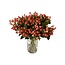 Frisches Rosa Hypericum “Sweet Romance” | Frische Blumen | Länge ± 50 centimeter | 25 Zweige pro Bund | Pro Bund