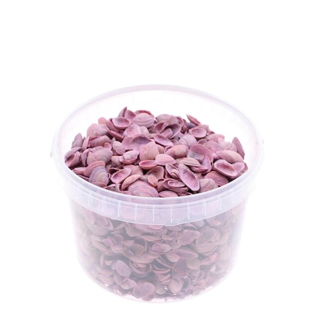 North Sea shells in reusable bucket | Colour: Pink | Bucket capacity 3 litre | Per bucket