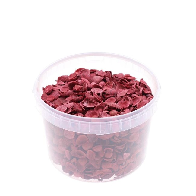 Nordsee Muscheln in wiederverwendbarem Eimerchen | Farbe: Rot | Inhalt Eimer 3 liter | Pro Eimer