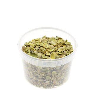 4A North Sea Shells in reusable bucket | Colour: Yellow | Bucket content 3 liter | Per bucket