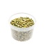 North Sea Shells in reusable bucket | Colour: Yellow | Bucket content 3 liter | Per bucket
