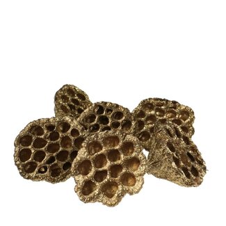 4A Lotus Pods with Glitter | Colour: Gold | Christmas Decoration | Diameter 8 - 10 centimetre | Per 6 pods