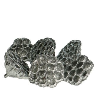4A Lotus Peulen met Glitter | Kleur: Zilver | Kerst Decoratie | Diameter 8 - 10 centimeter | Per 6 peulen