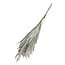 Dried Miscanthus Plumes | Colour: Natural | Miscanthus Dried Flowers | Length ± 70 centimetre | Per 10 plumes