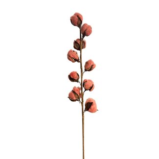 Arti Flora Artificial cotton branch with cotton bolls | Colour: Salmon pink | Length ± 60 centimeter | 9 bolls per stem | Per stem