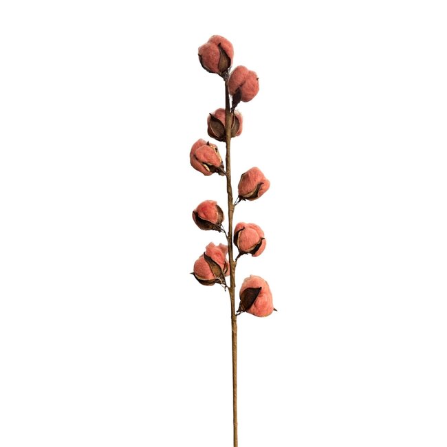 Künstlicher Baumwollzweig mit Baumwollkapseln | Farbe: Lachsrosa | Länge ± 60 centimeter | 9 Bollen pro Stiel | Pro Stiel
