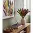 Dried Pampas grass plumes “Autumn Mix” | Colour: Mixed colours | Length ± 50 centimetre | Per 20 stems