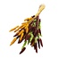 Lagurus Hazenstaartje Boeket “Autumn Mix” | Kleur: Gemengde Kleuren | Lengte ± 70 centimeter | Gewicht 100 gram | Per boeket