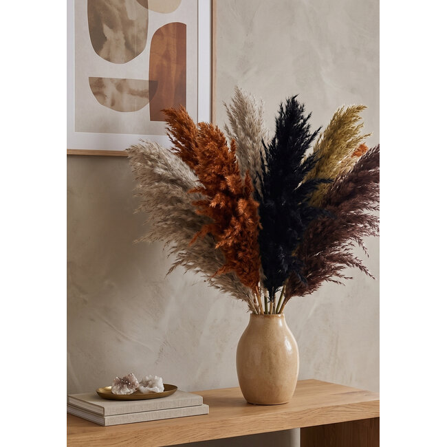 Autumn mix dried Pampas plumes | Length ± 70 centimetres | Per 10 stems