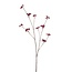 Berry Stem Artificial Flower | Colour: Red | Length ± 110 centimetre | Per piece