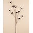Berry Branch Artificial Flower | Colour: Black | Length ± 110 centimeter | Per piece