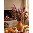 Autumn Mix Eucalyptus Cinerea | Preserved | Length ± 65 centimetres | Weight ± 150 grams