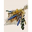 Boeket droogbloemen "Beautiful Dawn" | Lengte ± 55 centimeter | Gewicht ± 250 gram