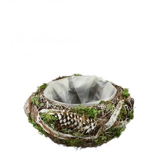 4A Pot de fleurs Jardinière ronde Salim | Couleur : Marron Vert | Diamètre 18 centimètres | Hauteur 8 centimètres | Par 2 jardinières
