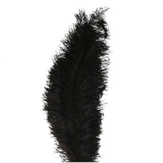 4A Plumes d'autruche | Couleur : Noir | Longueur 55 centimeter | Par 5 plumes