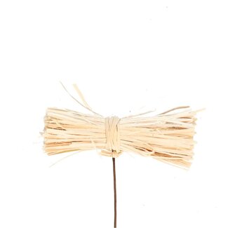 4A Twig Bundle Pick | Colour: Cream | Width 9 centimetres | Height 3 centimetres | Pick length ± 10 centimetres | Per 24 picks