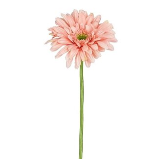 4A Gerbera Kunstblume | Farbe: Hellrosa | Länge ± 60 Zentimeter | Pro 24 Kunstblumen