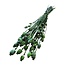 Getrocknete Schlafmohnkapsel | Farbe: Dunkelgrün | Papaver Somniferum Trockenblumen | Länge ± 60 Zentimeter | Gewicht 100 Gramm | Pro Bund