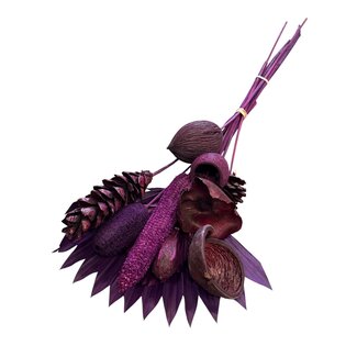 Casa Alegria Bouquet de fleurs séchées « Exotique violet » | Longueur ± 60 centimètres | Poids 250 grammes | avec lance de palmier violette et fleurs séchées | Par bouquet