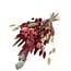 Bouquet séché « Cute Red » | Longueur ± 50 centimètres | avec du pavot rouge et naturel et des fleurs séchées | Par bouquet