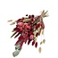 Dried Bouquet “Cute Red” | Length ± 50 centimetres | with red and natural poppy and dried flowers | Per bouquet