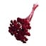 Botao op steel | Kleur: Rood | Lengte bijsteker ± 55 centimeter | Droogbloemen Bijstekers | Gewicht 150 gram | Per bos
