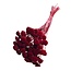 Botao sur tige | Couleur : rouge | Longueur de la tige à piquer ± 55 centimètres | Fleurs séchées à piquer | Poids 150 grammes | Par bouquet
