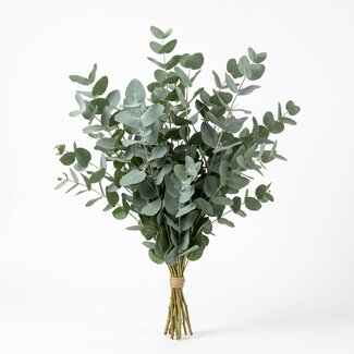 Freshy Verse Eucalyptus Populus uit Italië | Kleur: Natuurlijk Groen | Verse Bloemen | Lengte ± 70 centimeter | Gewicht ± 300 gram | Per bos