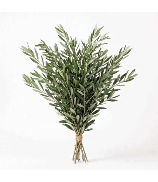 Freshy Verse Olijftakken uit Italië | Kleur: Natuurlijk Groen | Verse Bloemen | Lengte ± 70 centimeter | Gewicht ± 350 gram | Per bos