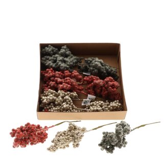 4A Frosted Berry Pick | Colour: Assorted Colours | Christmas Decoration | Length 8 centimetres | Per 12 picks