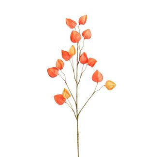 4A Fleur artificielle Physalis | Couleur : orange | Longueur 76 centimètres | Par 12 tiges
