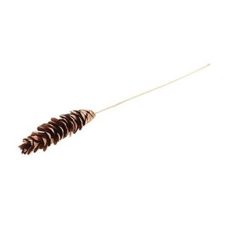 4A Pomme de pin Strobus sur pique | Couleur : marron | Décoration de Noël | Longueur de la pique ± 50 centimètres | Par 25 piques