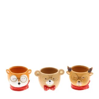 4A Keramik-Blumentopfbecher mit Tiermotiv | Farbe: Gemischte Farben | Herbstdekoration | Durchmesser 9 Zentimeter | Höhe 8 Zentimeter | Im 12er-Pack